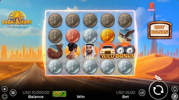 Dubai Luxury Hold & Win screenshot 1