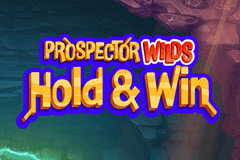 Prospector Wilds Hold & Win slot