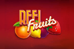 Reel Fruit slot