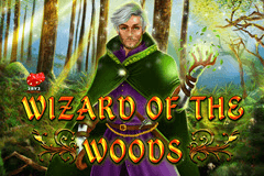 Wizard of the Woods slot