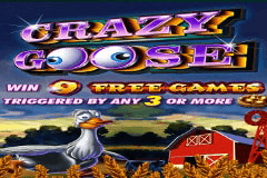 Crazy Goose slot