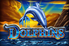 Dolphins slot