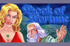 Book of Fortune slot