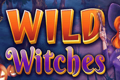 Wild Witches slot