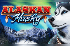 Alaskan Husky slot