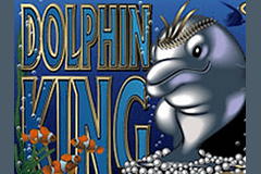Dolphin King slot