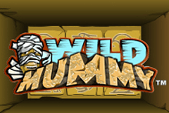Wild Mummy slot