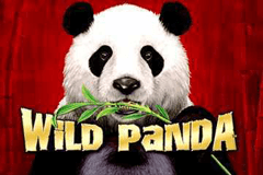 Wild Panda slot