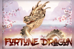 Fortune Dragon slot