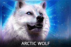 Arctic Wolf slot