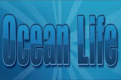 Ocean Life slot