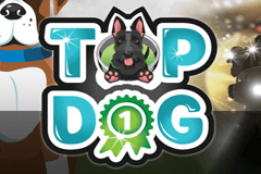 Top Dog slot