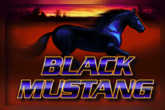 Black Mustang slot