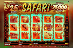 Safari slot