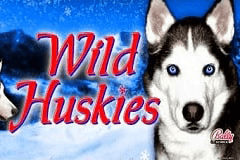 Wild Huskies slot
