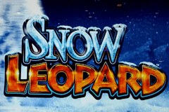 Snow Leopard slot