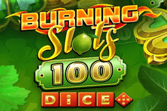 Burning Slots 100 Dice slot