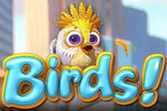Birds! slot