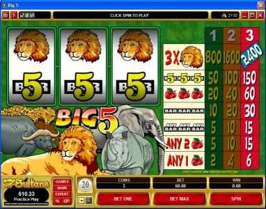 Big 5 screenshot 1