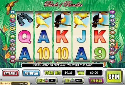 Birds of Paradise screenshot 1