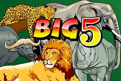 Big 5 slot