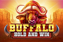 Buffalo Hold and Win slot