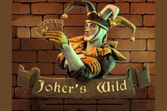 Jokers Wild slot