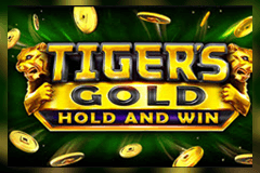 Tiger's Gold Hold and Win slot