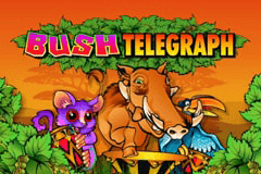 Bush Telegraph slot