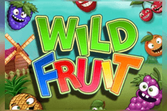 Wild Fruit slot