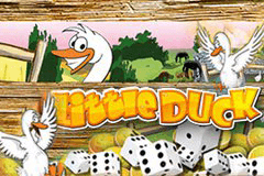 Little Duck slot