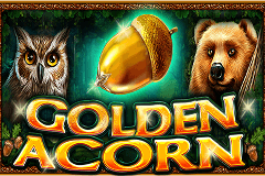 Golden Acorn slot