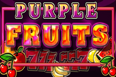 Purple Fruits slot