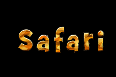 Safari slot