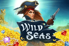 Wild Seas logo