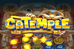 Catemple slot