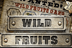 Wild Fruits slot