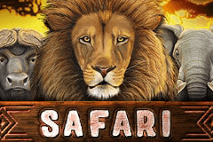 Safari logo