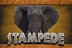 Stampede slot