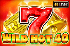 Wild Hot 40 slot