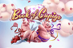 Book of Cupigs slot