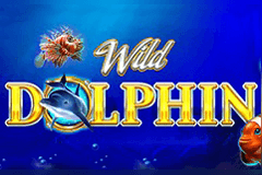 Wild Dolphin slot
