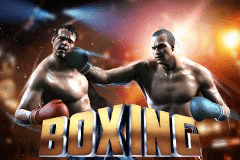 Boxing slot