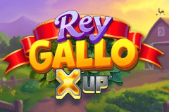 Rey Gallo X UP slot