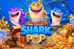 Shark Pop: Coin Collect slot