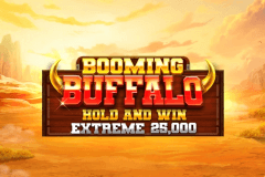 Booming Buffalo Hold and Win Extreme 25,000 slot