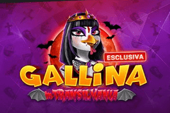 Gallina in Transilvania logo