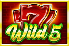 Wild 5 slot