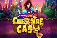 Connectify Pays Cheshire Cash slot