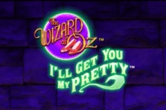 The Wizard of Oz I'll Get You My Pretty slot